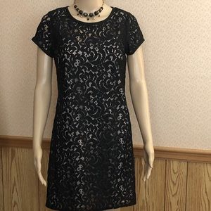 Ann Taylor Loft lace dress